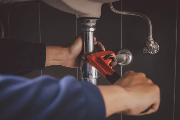 Best Plumbing Inspection Services  in Noel, MO